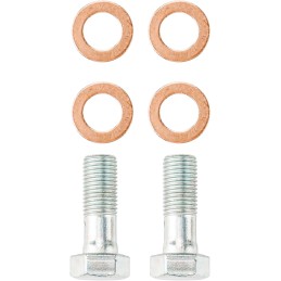 PHILTOP 18B5080 18B5081 Rear Disc Brake Caliper Assembly Fit for C/V 2012-2012, Grand Caravan 2008-2012, Routan 2009-2012, Town