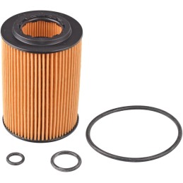 Blue Print ADH22117 Oil Filter with seal rings, pack of one