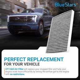 BlueStars CF11663 Premium Activated Cabin Carbon Air Filter - Fits Buick Enclave 08-17, Chevy Traverse 09-17, GMC Acadia 07-16,