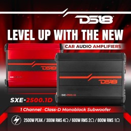 DS18 SXE-2500.1D/BK Car Amplifier Class D 1-Channel Monoblock Amp 800 x 1 RMS @1 Ohm 2500 Watts - Powerful and Compact Amp for