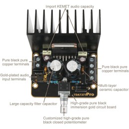 DollaTek Car Stereo-Verstärkerplatine, 30W + 30W Klasse AB Car-Audio-Verstärker 2.0 Zweikanal-Gold-Stereoverstärkerplatine