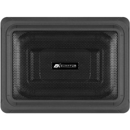 ESX Q168P - 15x20 cm (6x8') Passiv-Subwoofer