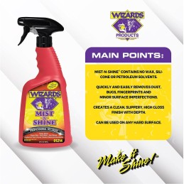 Wizards Mist-N-Shine Professional Detailer - Multi-Use Glass Cleaner for Vehicles - Adds Gloss to Paint, Chrome and Glass - 22