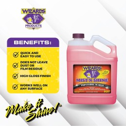 Wizards Mist-N-Shine Professional Detailer - Multi-Use Glass Cleaner for Vehicles - Adds Gloss to Paint, Chrome and Glass - 22