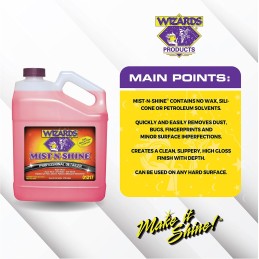 Wizards Mist-N-Shine Professional Detailer - Multi-Use Glass Cleaner for Vehicles - Adds Gloss to Paint, Chrome and Glass - 22