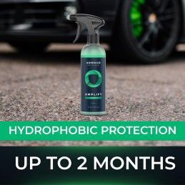 Amplify Ceramic Detailer: Quick & Easy Gloss Enhancement | Streak-Free, Hydrophobic Formula | Safe on All Vehicles | 16oz