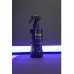 SHINE Protective Ceramic Spray Schützendes Keramikspray - Professional Detailing Series, 250ml