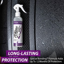 Torque Detail Ceramic Spray - Easy to Apply, Ceramic Coating Spray - Proprietary Silica Formula (Nano SiO2) Seals & Shields