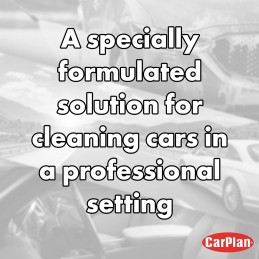 CarPlan Trade Valet Wheel Cleaner - Removes Baked on Break Dust, 5 L