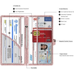 TOURSUIT Car Registration and Insurance Card Holder, Vehicle License Document Glove Box Compartment Organizer, Interior Car