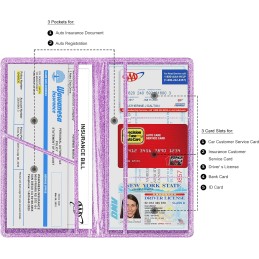 TOURSUIT Car Registration and Insurance Card Holder, Vehicle License Document Glove Box Compartment Organizer, Interior Car