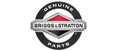 Briggs & Stratton Originalteile Öl