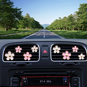 Daisy Air Vent Clips